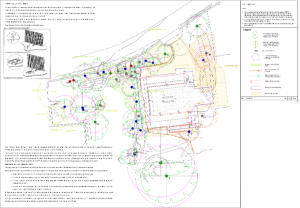Tree Surveys